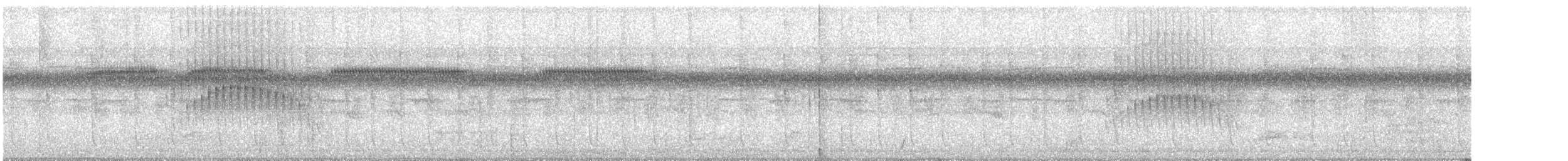 gråhodetreløper (griseus gr.) - ML127479271