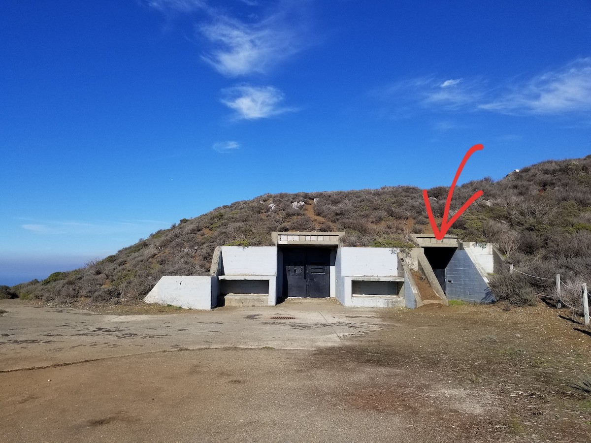 Burrowing Owl - ML127490851