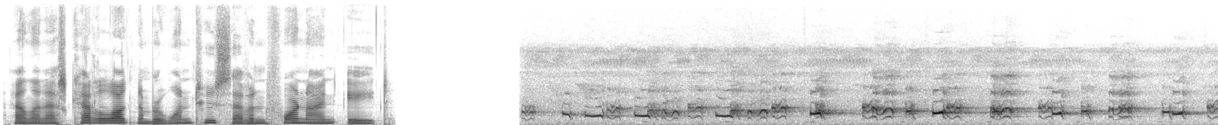 gråhalsrikse (cajaneus) - ML127498