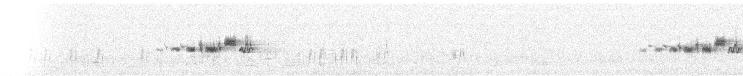 Black-throated Gray Warbler - ML127520831