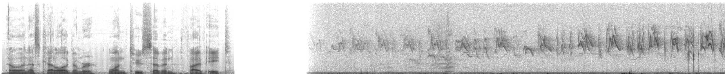 Pine Siskin - ML12758