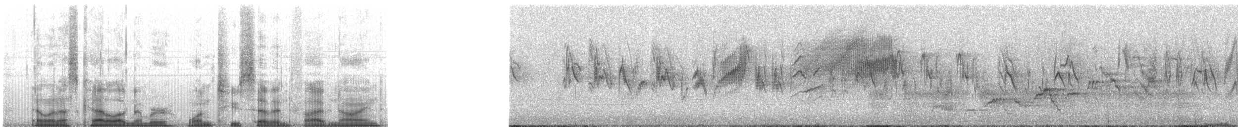 Pine Siskin - ML12759