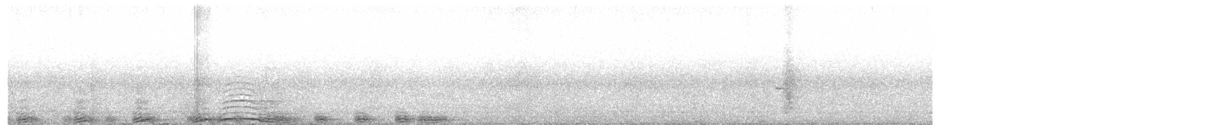 Chouette rayée - ML127622531