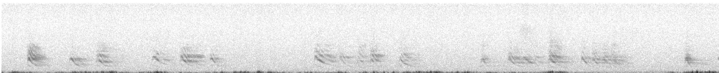 紅嘴山鴉 - ML127720021