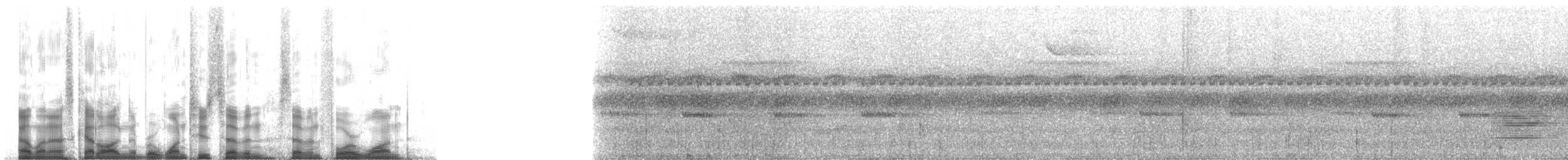 Grimpar de Hoffmanns - ML127741