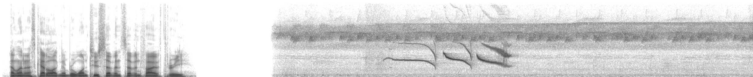 Weißbrust-Ameisenvogel - ML127753