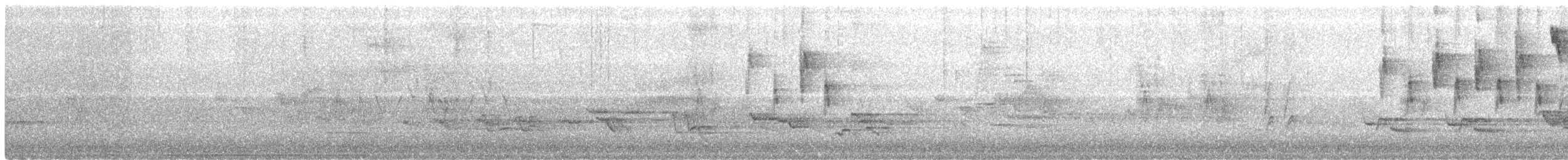 Tennessee Warbler - ML127761071