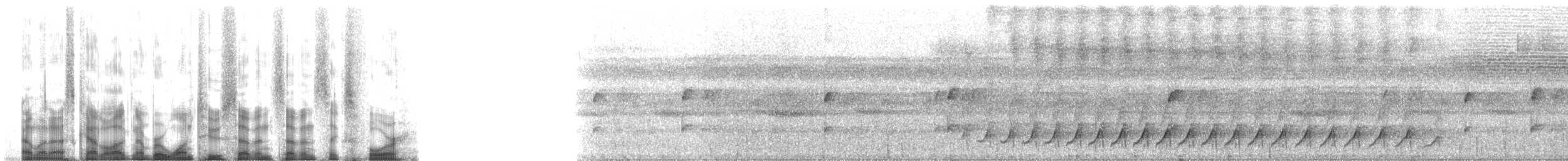 Grimpar de Hoffmanns - ML127764