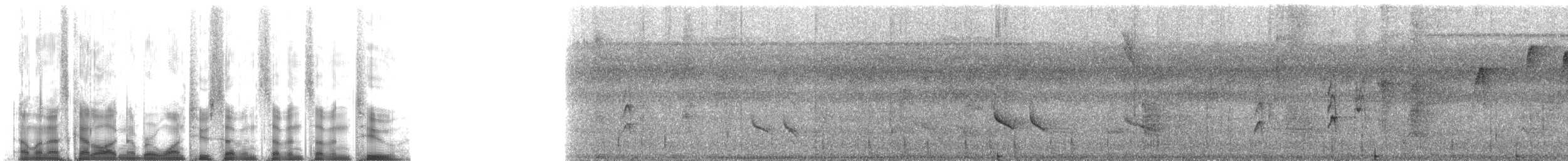 Inambari Gnatcatcher - ML127772