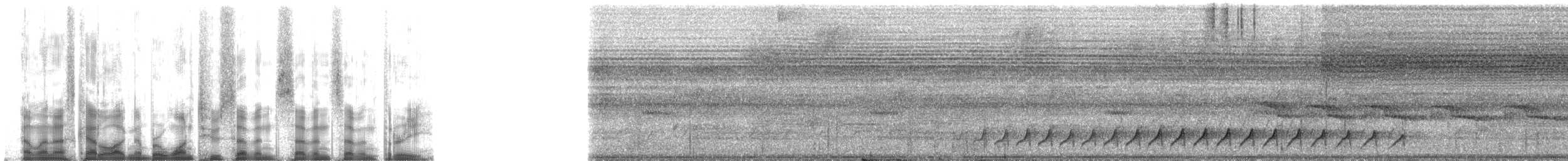 Grimpar de Hoffmanns - ML127773