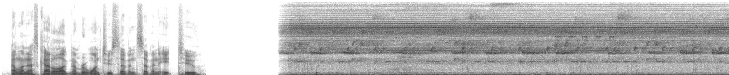 Grimpar de Hoffmanns - ML127782