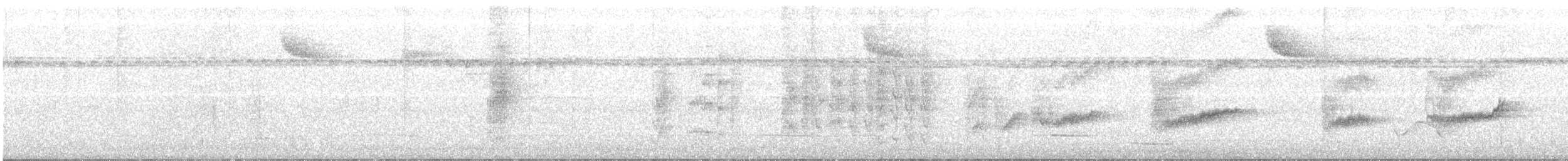 Australian Spectacled Monarch - ML127782031