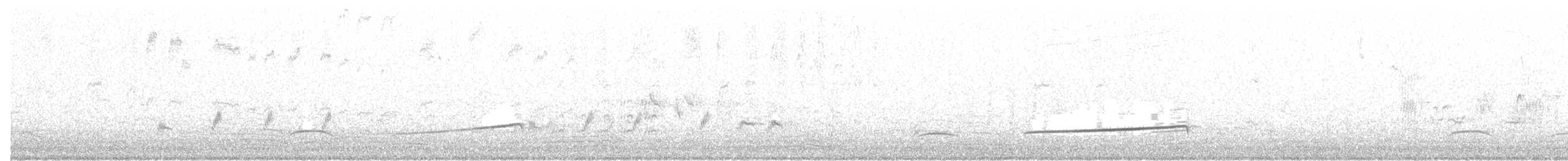Brown Quail - ML127790901