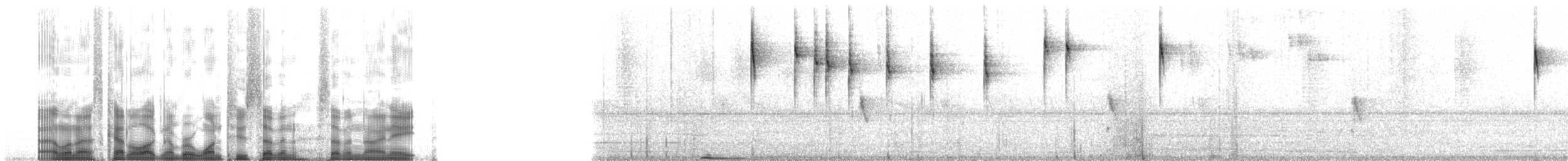 Paruline triligne (meridanus/bessereri) - ML127798