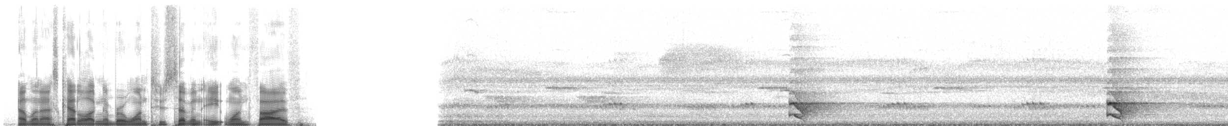 Barred Forest-Falcon - ML127815