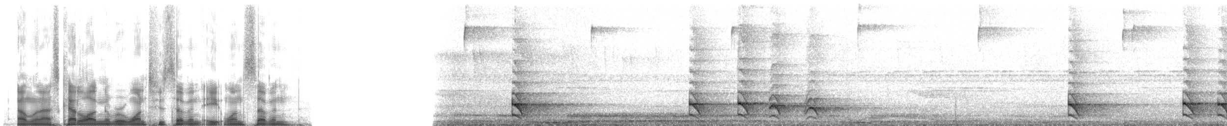 Barred Forest-Falcon - ML127817