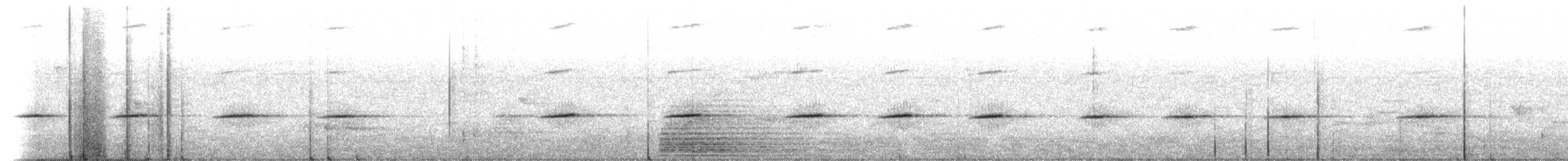 hvitbukskvett - ML127823431