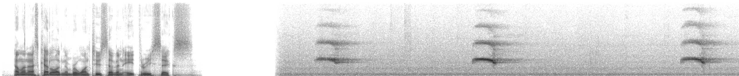 Тукан чорнодзьобий (підвид ariel) - ML127836