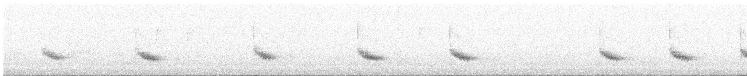Поплітник каролінський - ML127907101