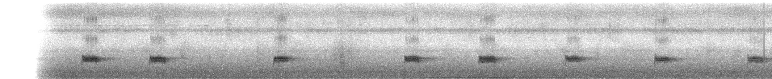 Troglodyte à poitrine blanche - ML127970561