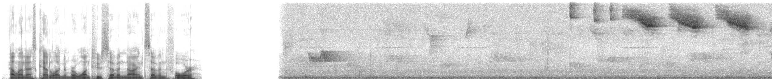 Boğmaklı Çalı Serçesi (taciturnus/nigrirostris) - ML127974