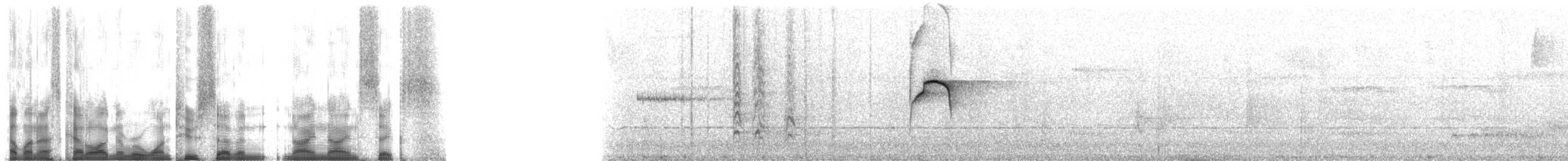 Sosyal Tiran [similis grubu] - ML127996