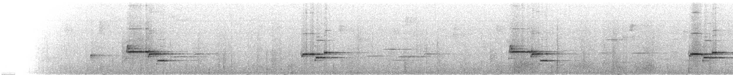 Дрізд-короткодзьоб сірий - ML128020441