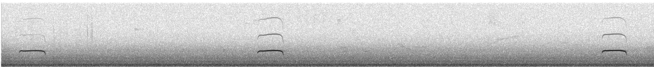 Пестрогорлая гевара - ML128046191