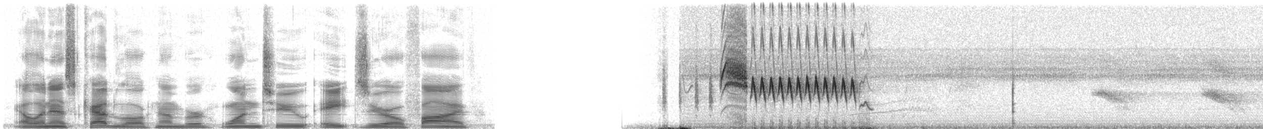 Ev Çıtkuşu [musculus grubu] - ML12805