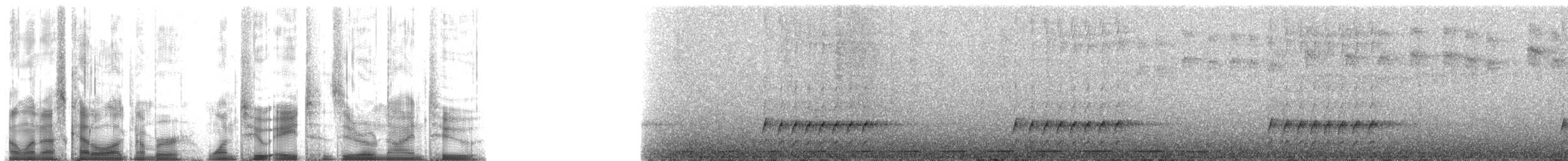 Plain-backed Antpitta - ML128092