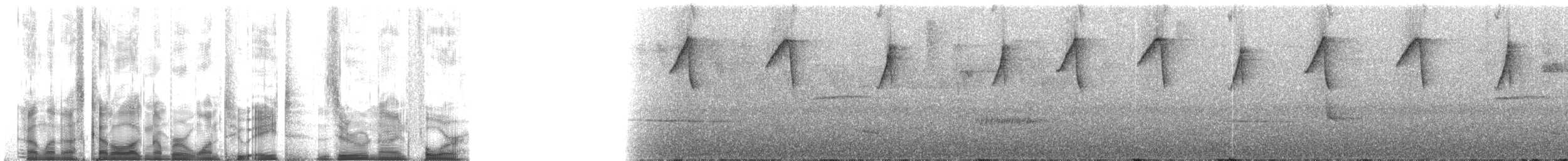 Gray-chinned Hermit (Gray-chinned) - ML128094