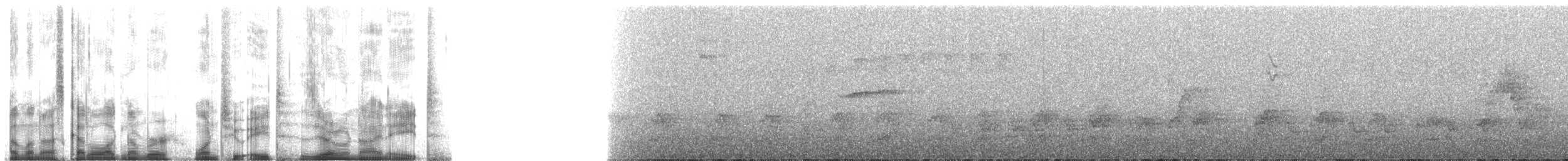 Great Thrush - ML128098