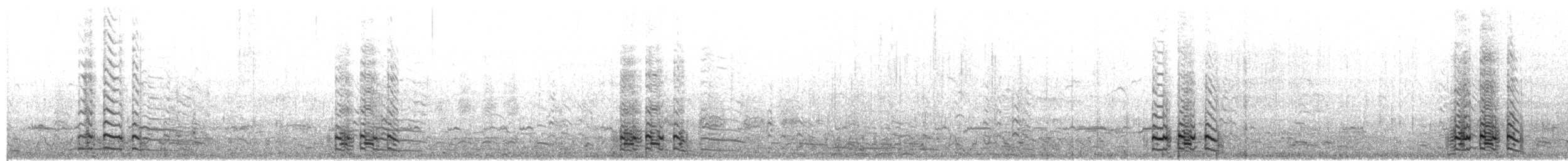 Гуска білолоба (підвид elgasi) - ML128207231