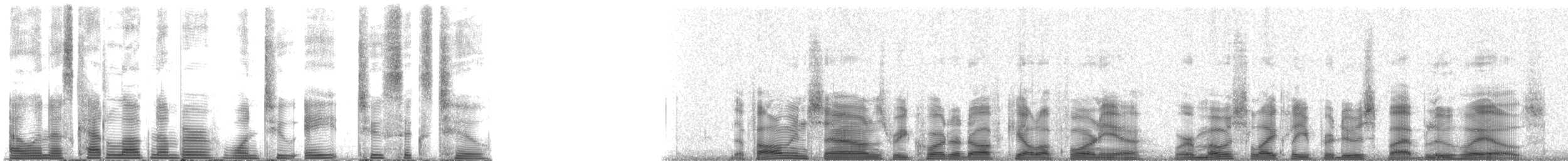 Blue Whale - ML128262