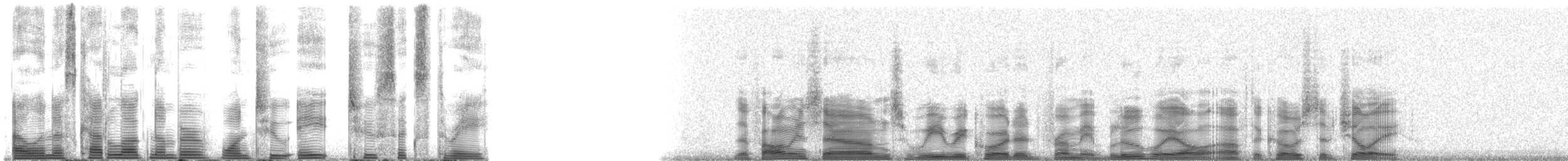 Blue Whale - ML128263