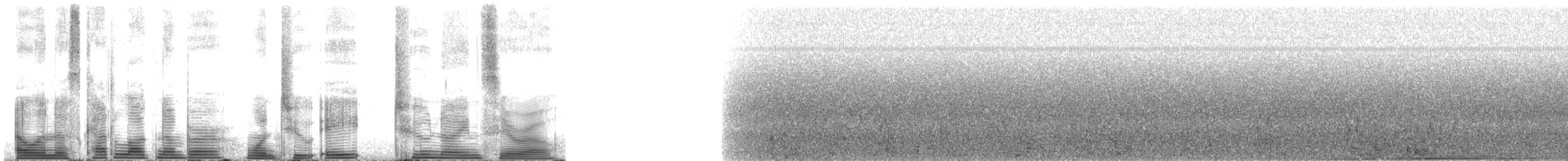 Bowhead Whale - ML128290