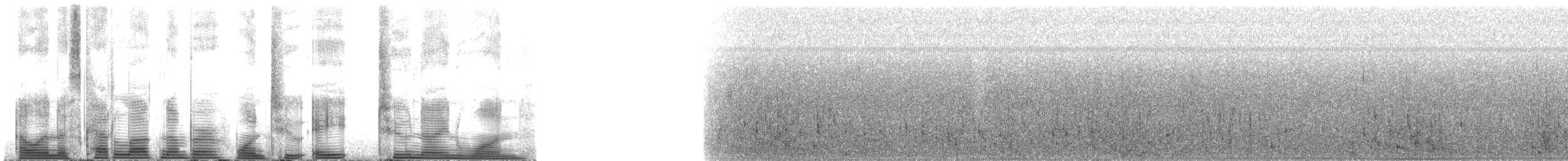 Bowhead Whale - ML128291