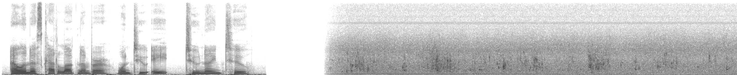 Bowhead Whale - ML128292