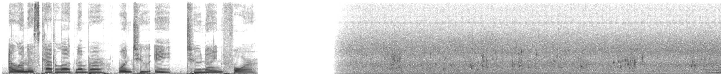 Bowhead Whale - ML128294