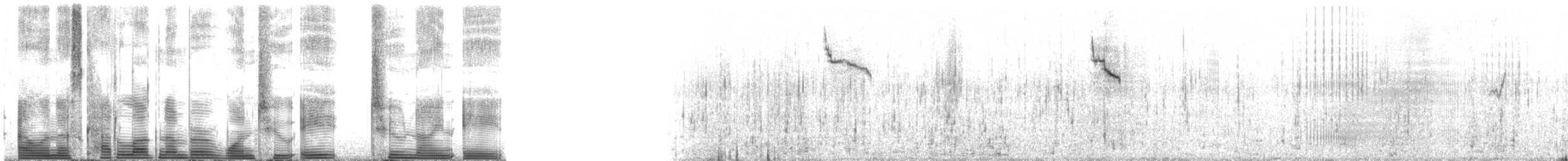 Oceanic Dolphins - ML128298