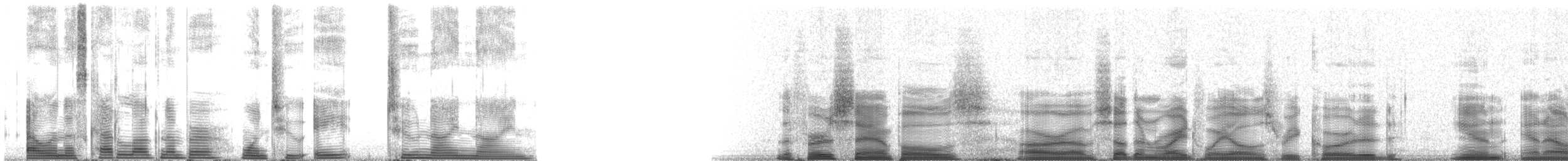 Southern Right Whale - ML128299