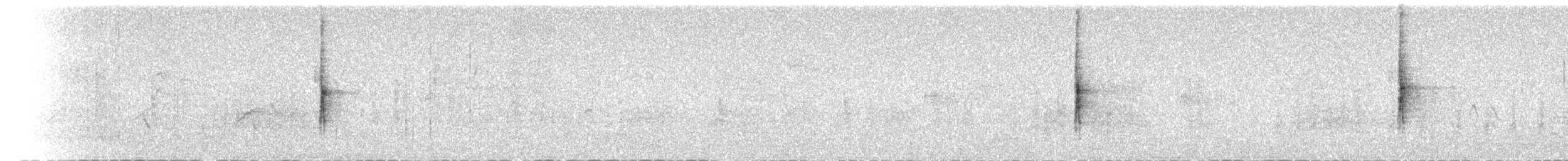 Taçlı Ötleğen (coronata) - ML128446651