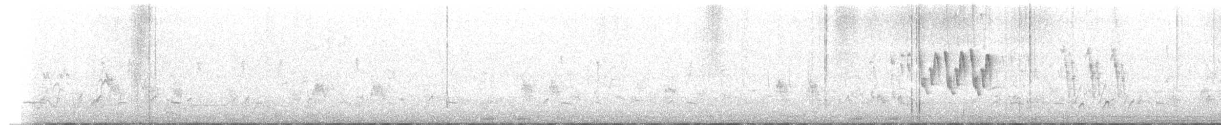 Охотский сверчок - ML128576061