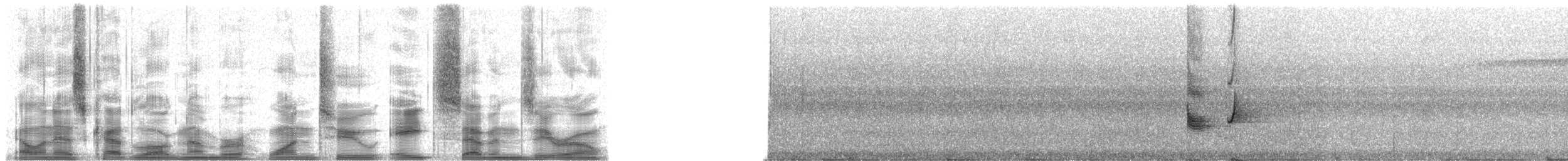 Amazonienzwergpipra - ML12870