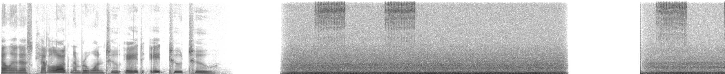 robust shieldback - ML128822