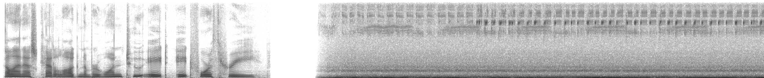 Handsome Trig - ML128843