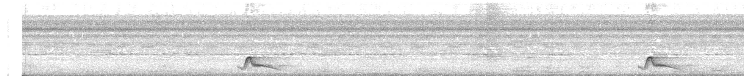 Pauraquenachtschwalbe - ML128865661
