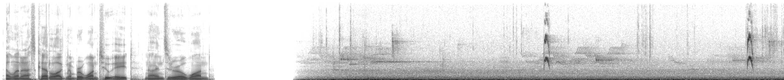 Red-cockaded Woodpecker - ML128901