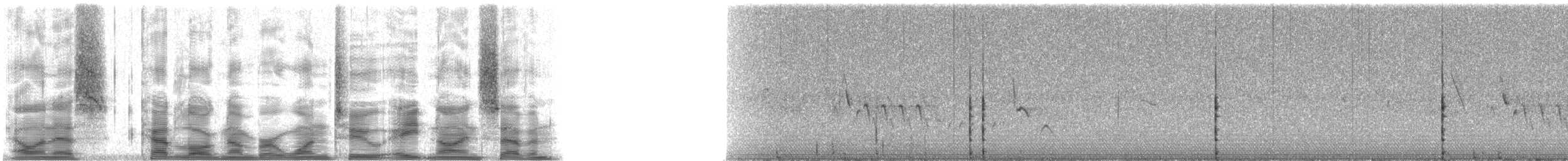 Küçük Kırlangıç Kuyruklu Ebabil - ML12897