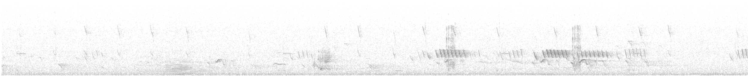 Tasmanpanthervogel - ML128990651